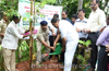 Govt aims to plant six crore saplings : Ramanatha Rai
